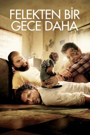 Felekten Bir Gece Daha (2011)